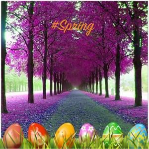 Meet your Posher, Patricia ayres